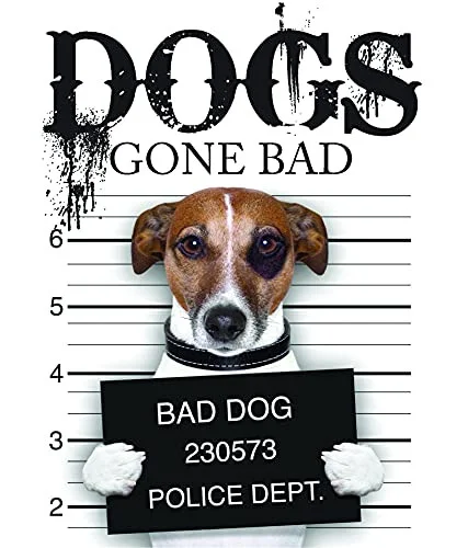 americanbookwarehouse8-2888549