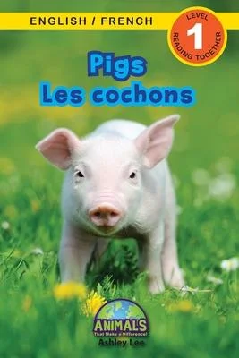 discountmags6-1859422